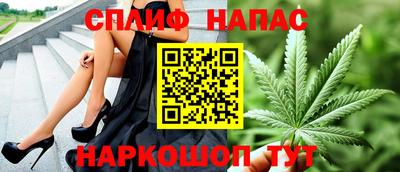 прущие грибы Вышний Волочёк