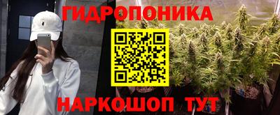 прущие грибы Вышний Волочёк