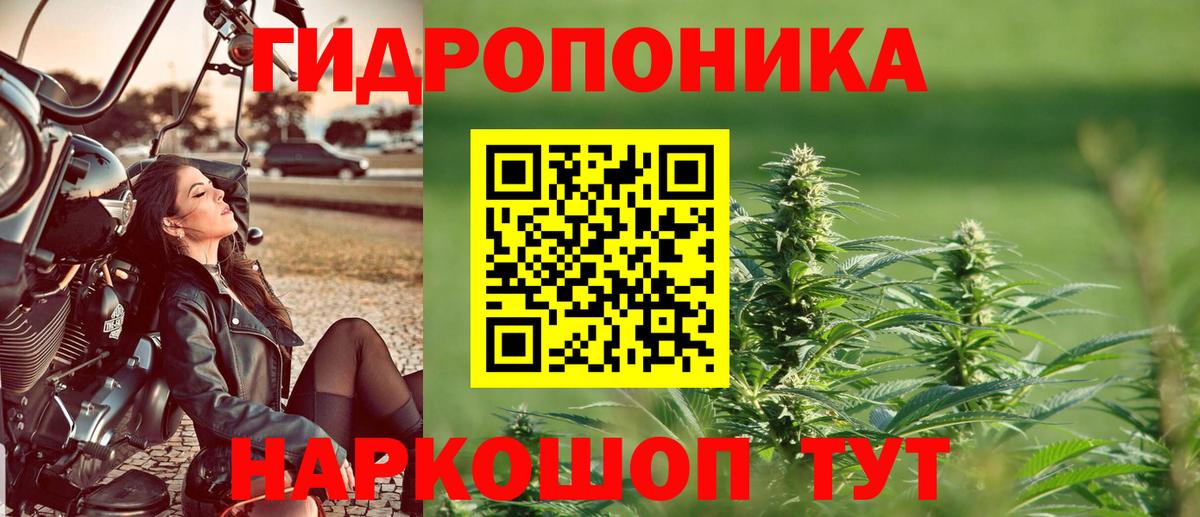 Канабис White Widow Сегежа